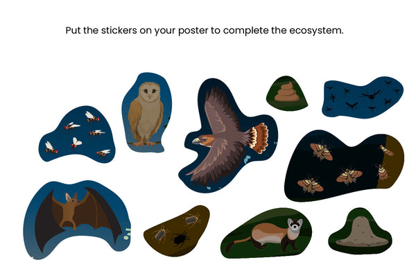 Ecosystem Poster w/ Stickers: Bat