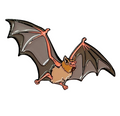Illustration of a bat with outstretched wings on a white background
