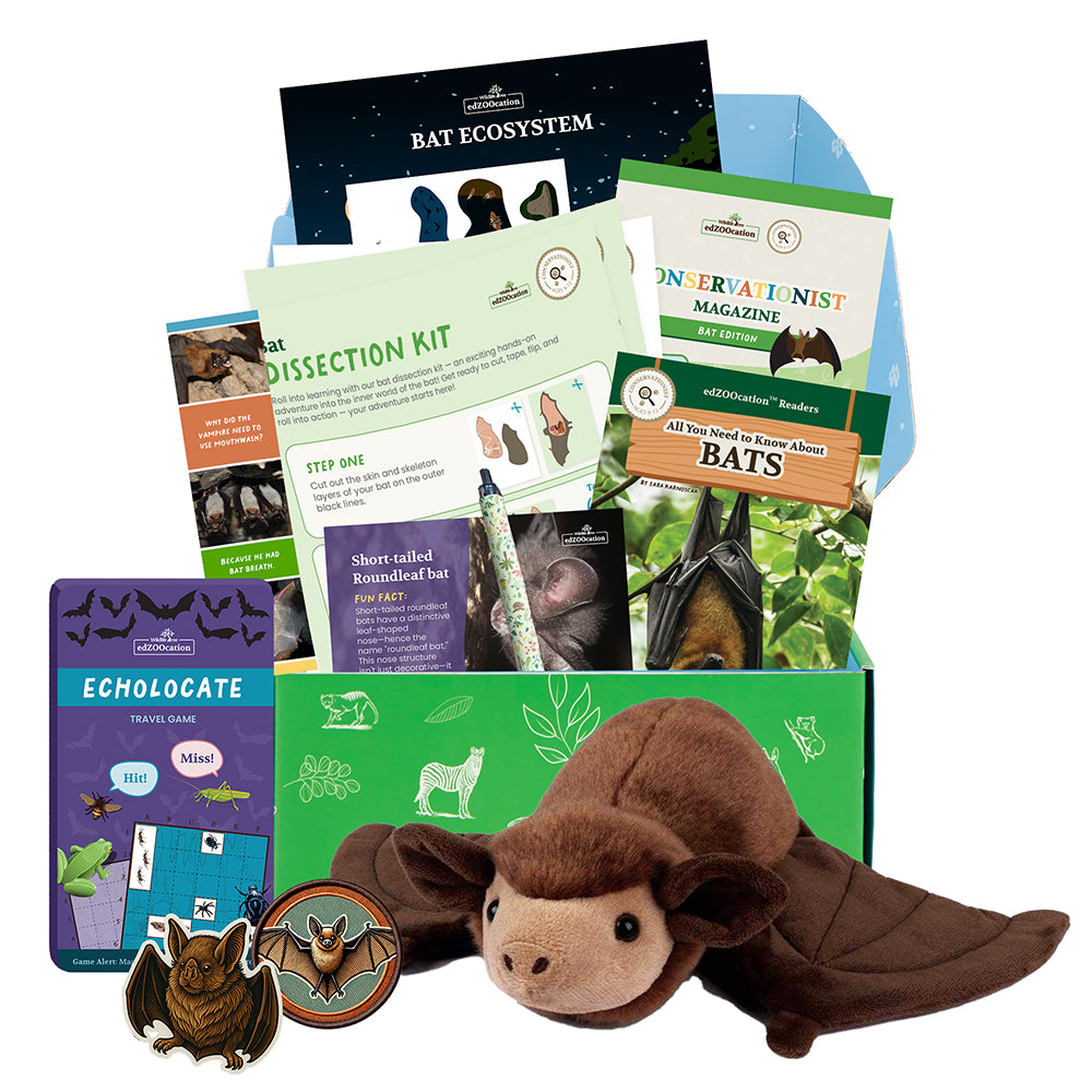 Educational bat kit with plush toy, books, and cards on a white background