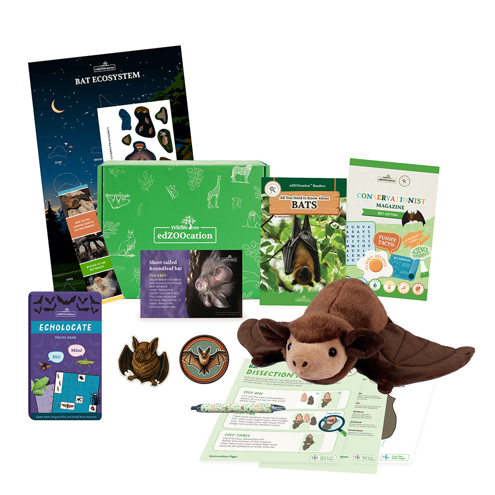 Educational bat-themed kit with plush toy, books, and activities on a white background