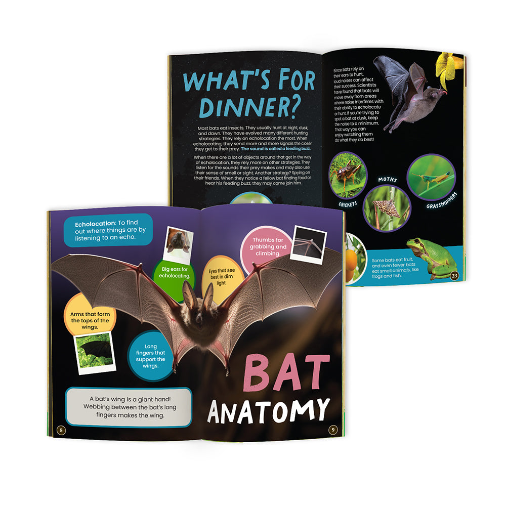 Open book with bat-themed pages on a white background