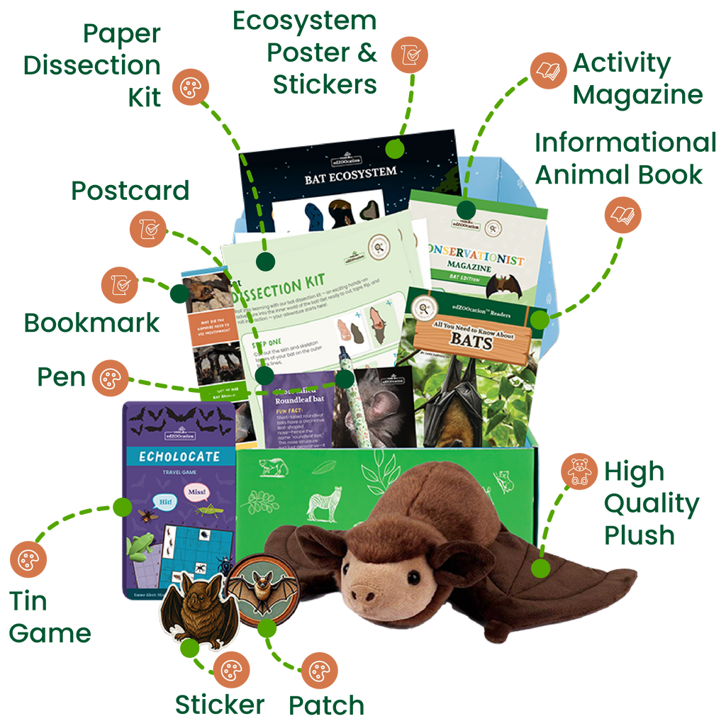 Educational kit with bat-themed items including a plush toy, book, and posters on a white background.