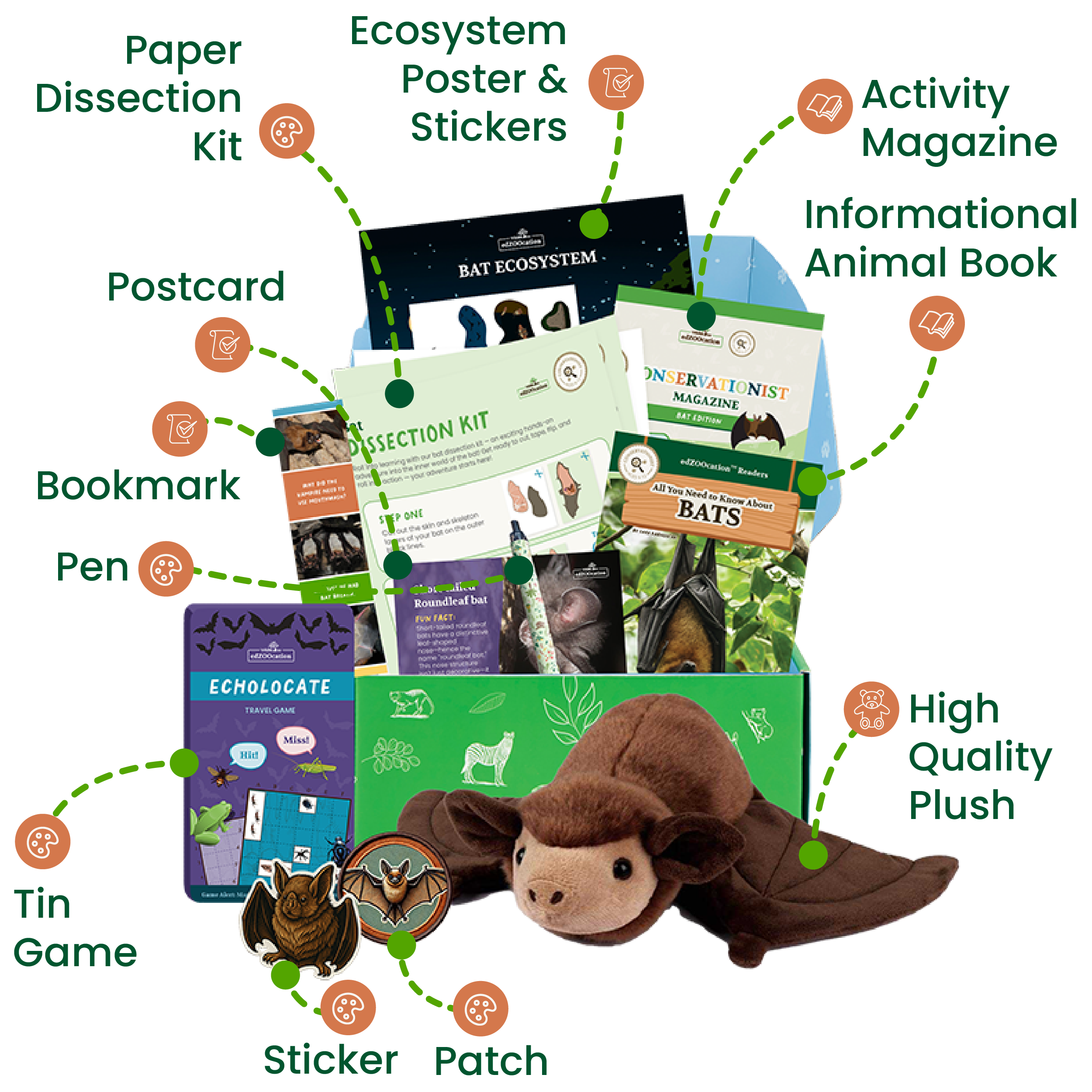 Educational kit with bat-themed items including a plush toy, book, and posters on a white background.