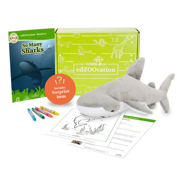 Contents of Bonnethead Shark edZOOcation Zookeeper Subscription Box