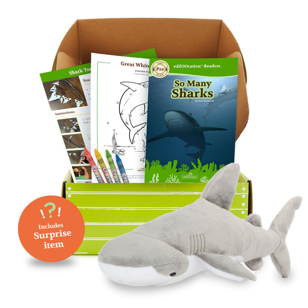 Front view of Bonnethead Shark edZOOcation Zookeeper Subscription Box