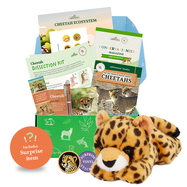 edZOOcation™ Conservationist Box (Age 9-12) - Monthly Box