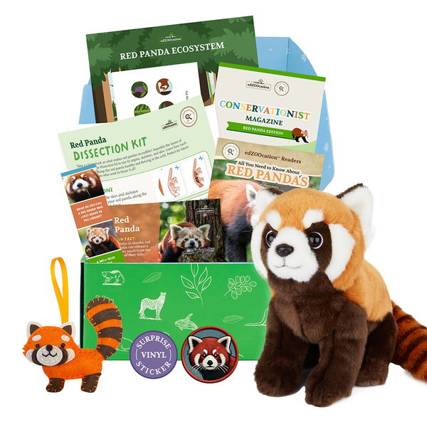 edZOOcation™ Conservationist Box (Age 9-12) - 3 Months