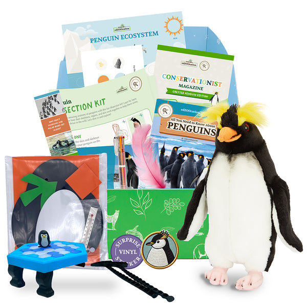 edZOOcation™ Conservationist Box (Age 9-12) - 6 Months