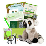 Lemur Stuffed Animal edZOOcation Conservationist Box (Age 9-12)