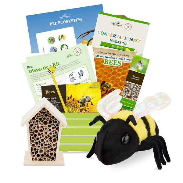 edZOOcation™ Conservationist Box (Age 9-12) - 3 Months