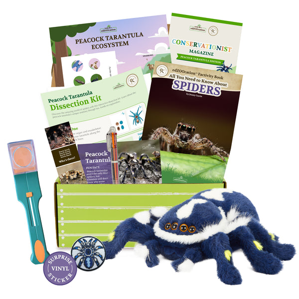 edZOOcation™ Conservationist Box (Age 9-12) - 3 Months