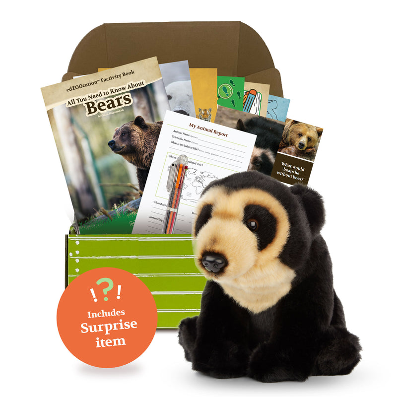 Bear Stuffed Animal edZOOcation™ Conservationist Box (Age 9-12)