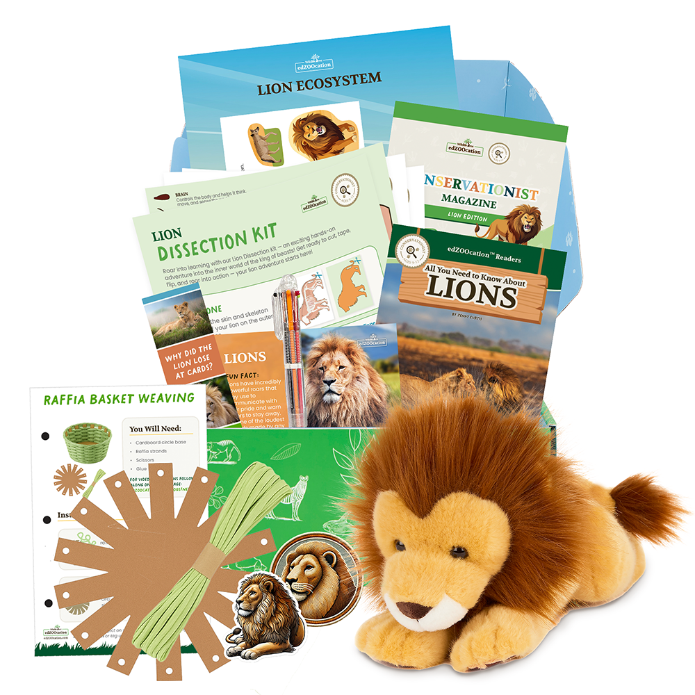 Educational lion-themed kit with plush toy, books, and activities on a white background