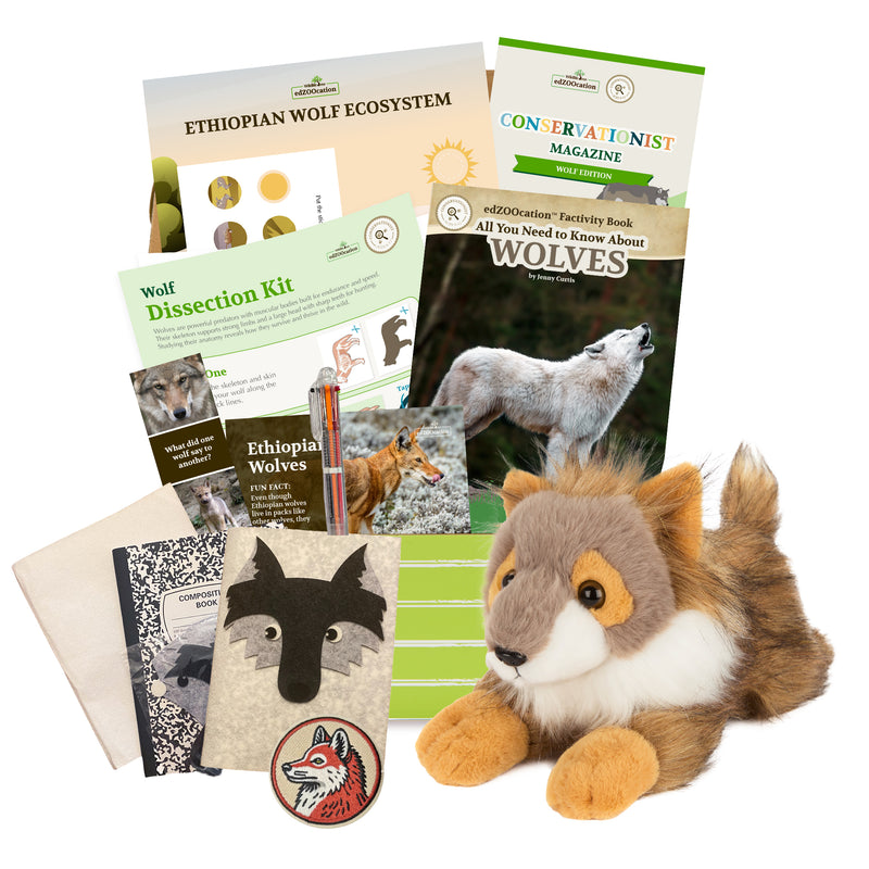 Wolf Stuffed Animal edZOOcation Conservationist Box (Age 9-12)