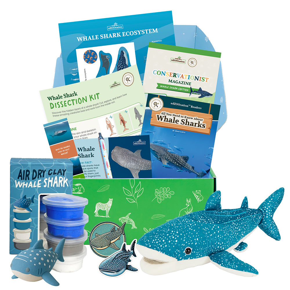 Educational whale shark kit with toys, books, and materials on a white background