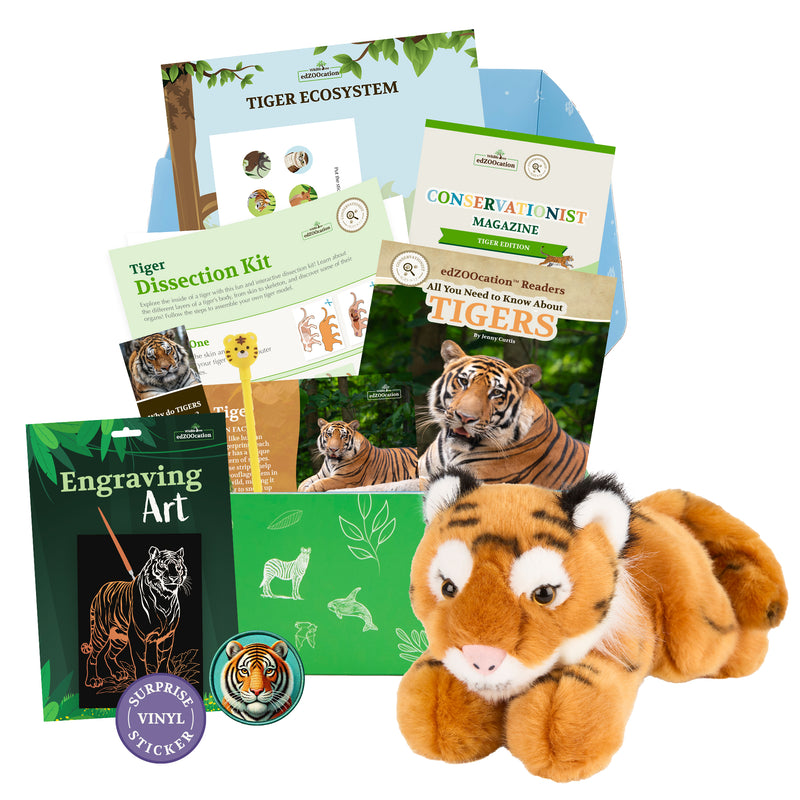 edZOOcation™ Conservationist Box (Age 9-12) - Monthly Box