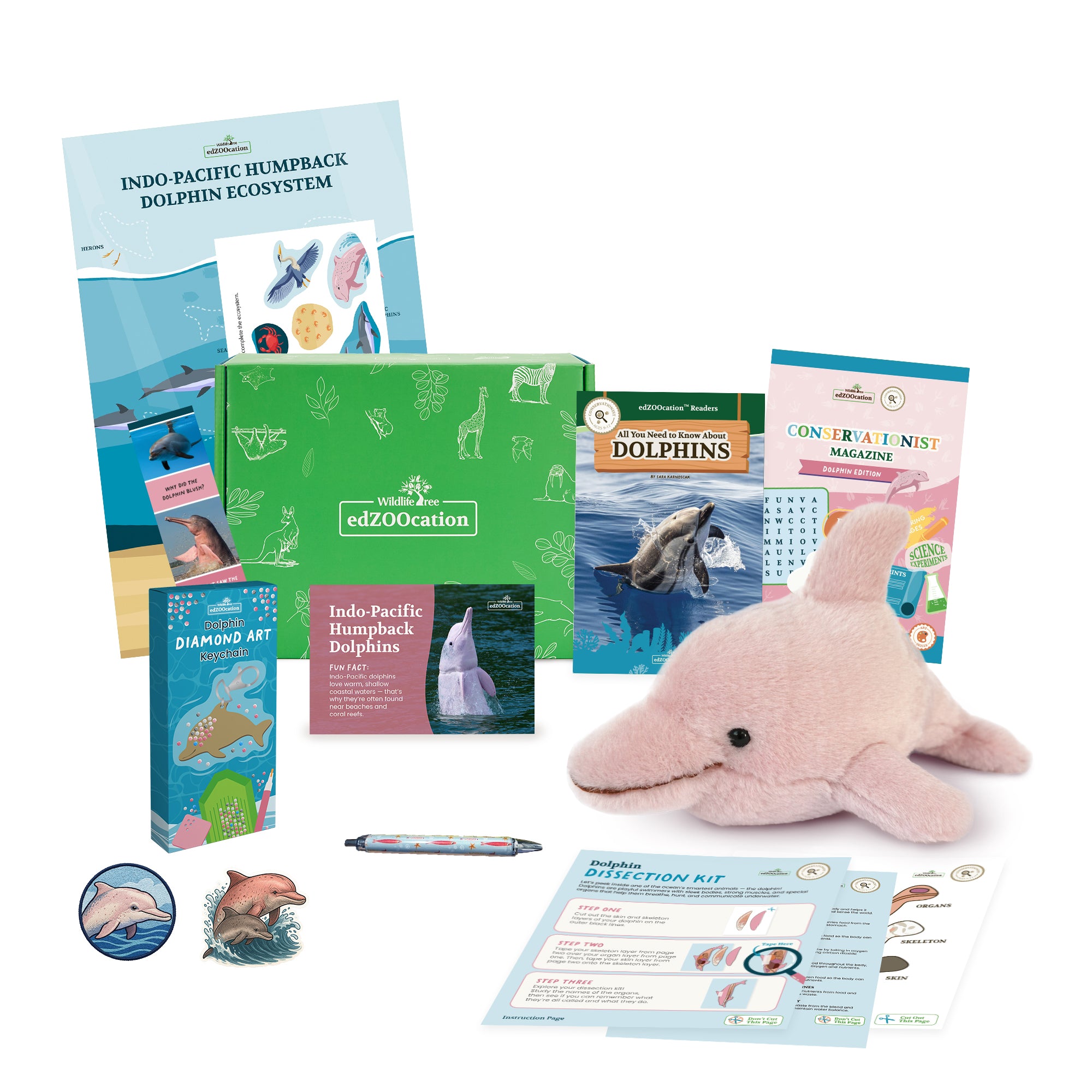 Dolphin Conservationist Box (Age 9-12)