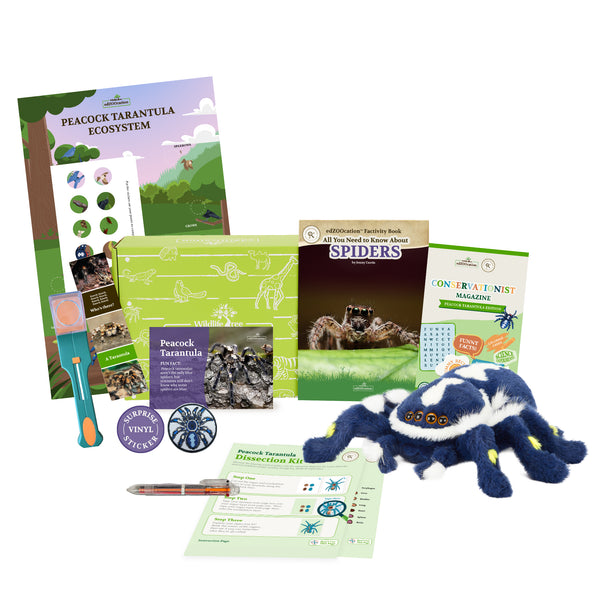 edZOOcation™ Conservationist Box (Age 9-12) - 3 Months