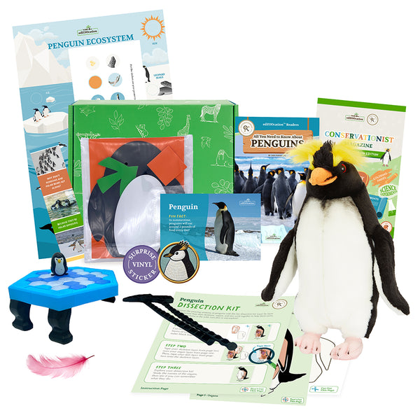 edZOOcation™ Conservationist Box (Age 9-12) - 3 Months