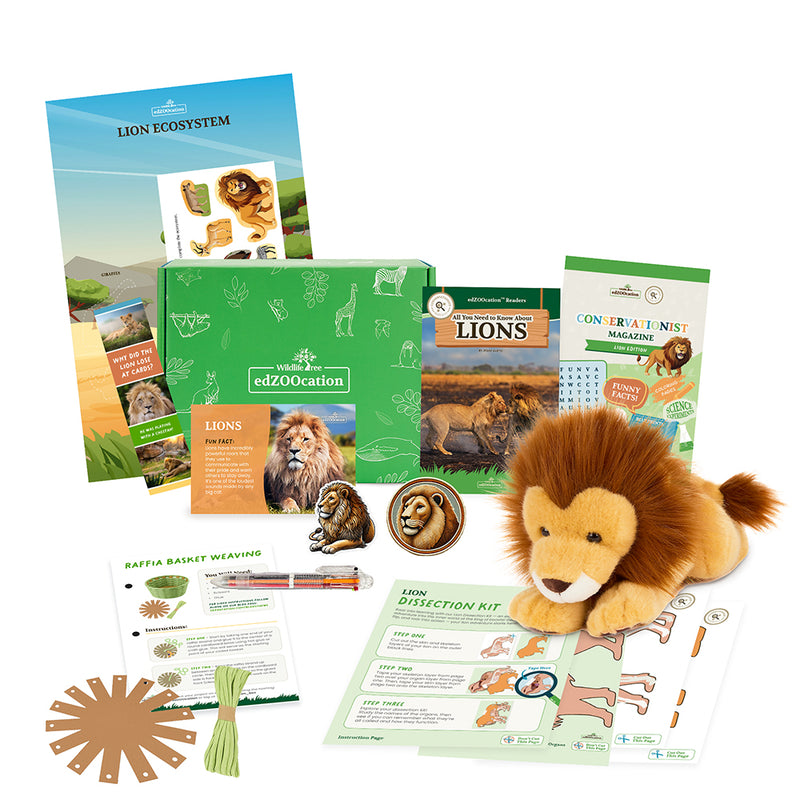 Lion Stuffed Animal edZOOcation Conservationist Box (Age 9-12)