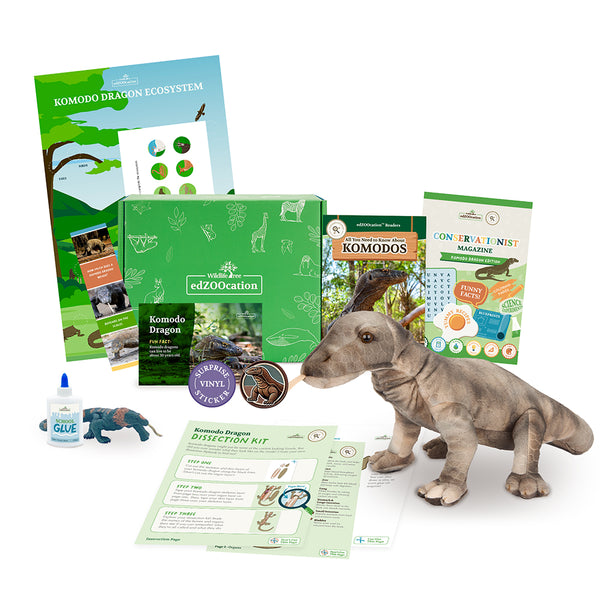 Komodo Dragon Stuffed Animal edZOOcation™ Conservationist Box (Age 9-12)