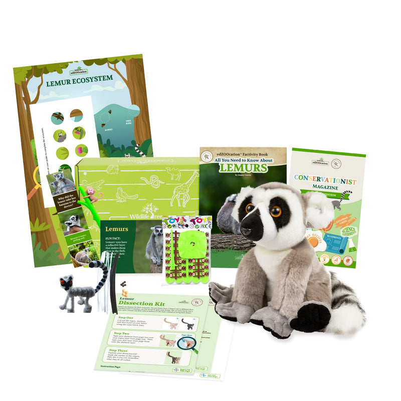 Lemur Stuffed Animal edZOOcation Conservationist Box (Age 9-12)