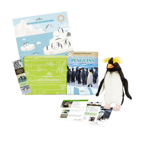 Penguin Stuffed Animal edZOOcation™ Conservationist Box (Age 9-12)