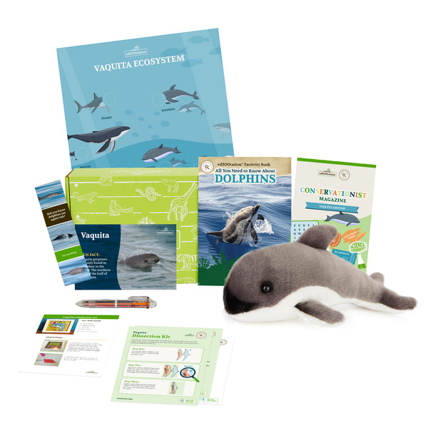 Vaquita Porpoise Stuffed Animal edZOOcation™ Conservationist Box (Age 9-12)