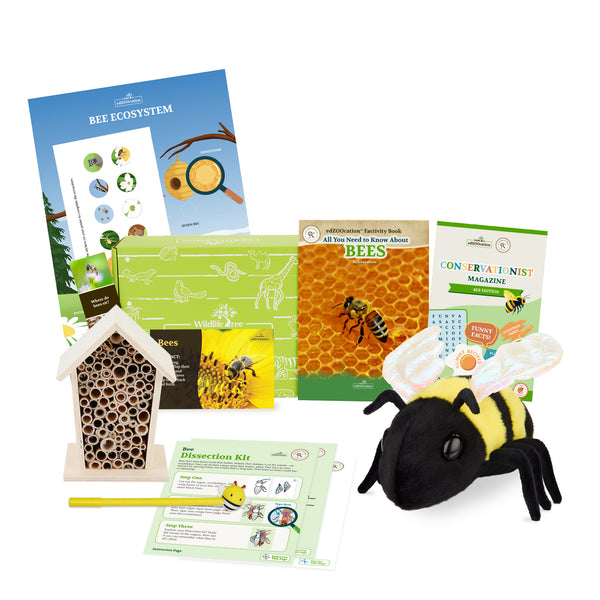 edZOOcation™ Conservationist Box (Age 9-12) - 12 Months
