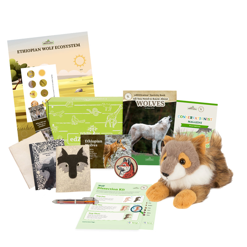 Wolf Stuffed Animal edZOOcation Conservationist Box (Age 9-12)