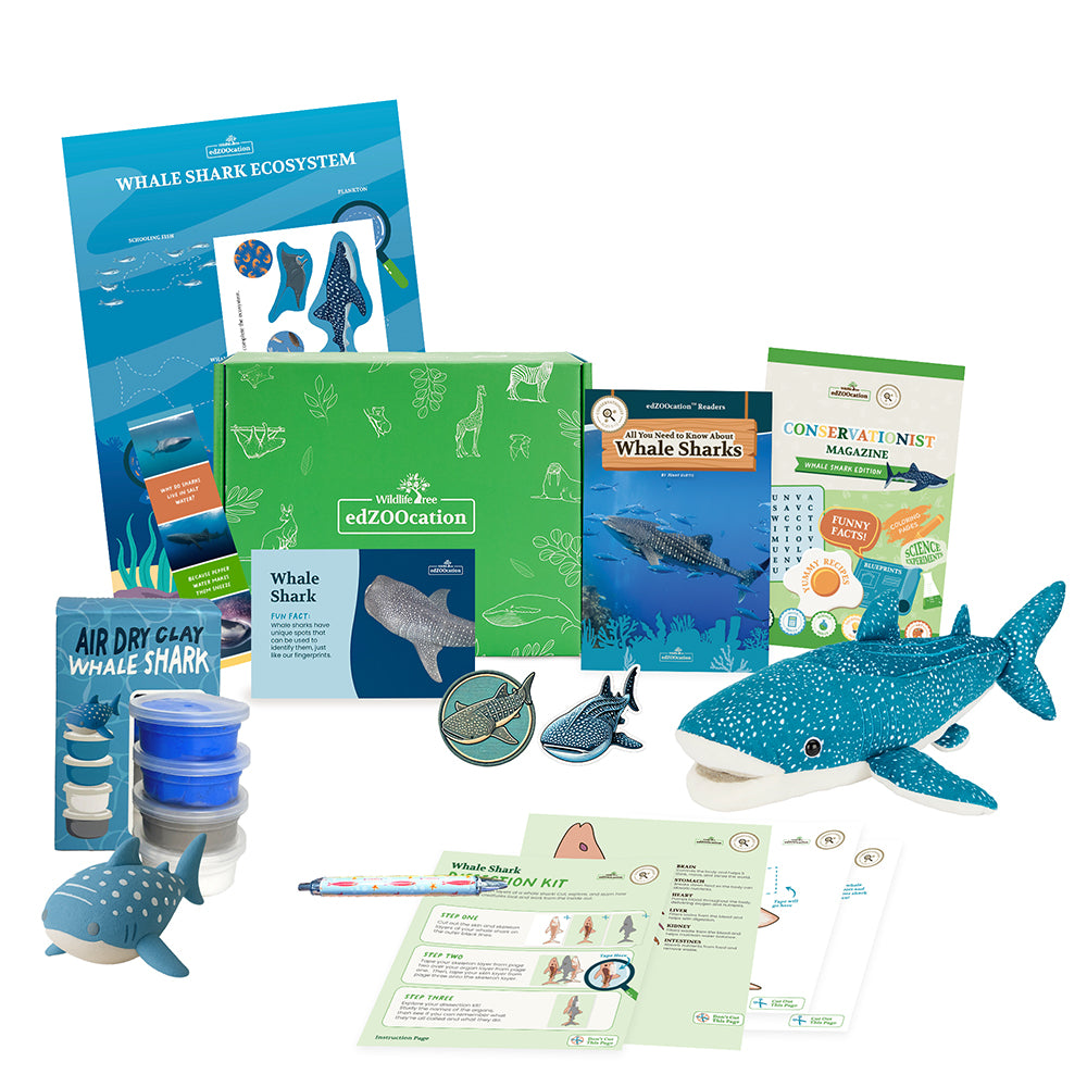Whale Shark Conservationist Box (Age 9-12)