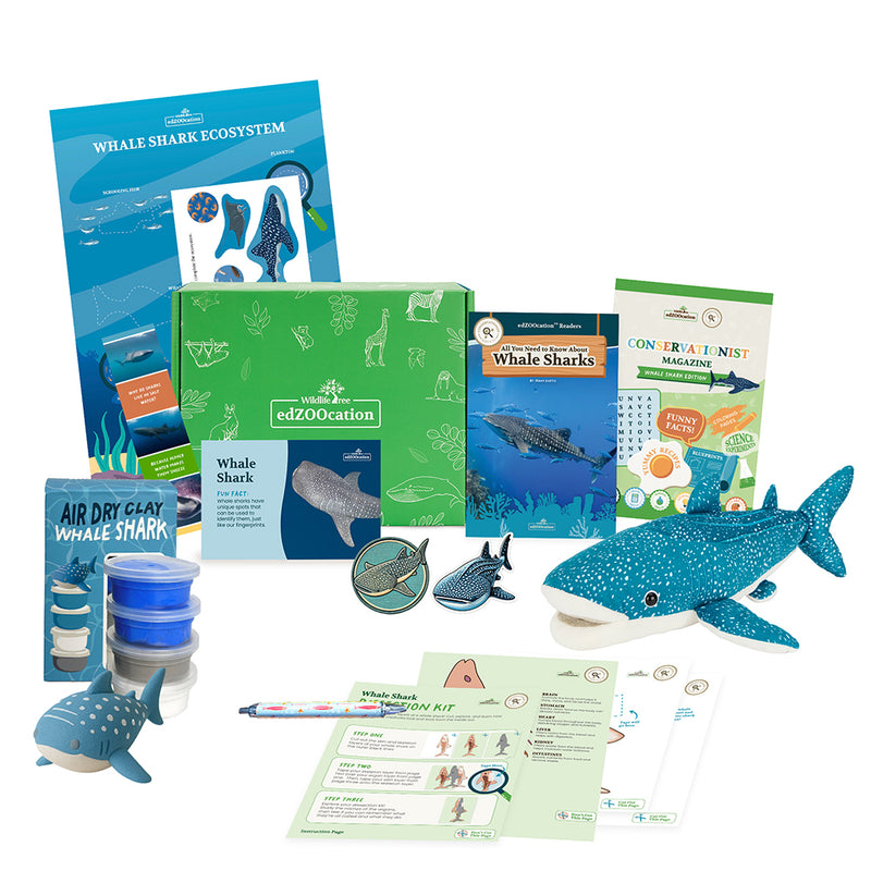 Whale Shark Stuffed Animal edZOOcation Conservationist Box (Age 9-12)