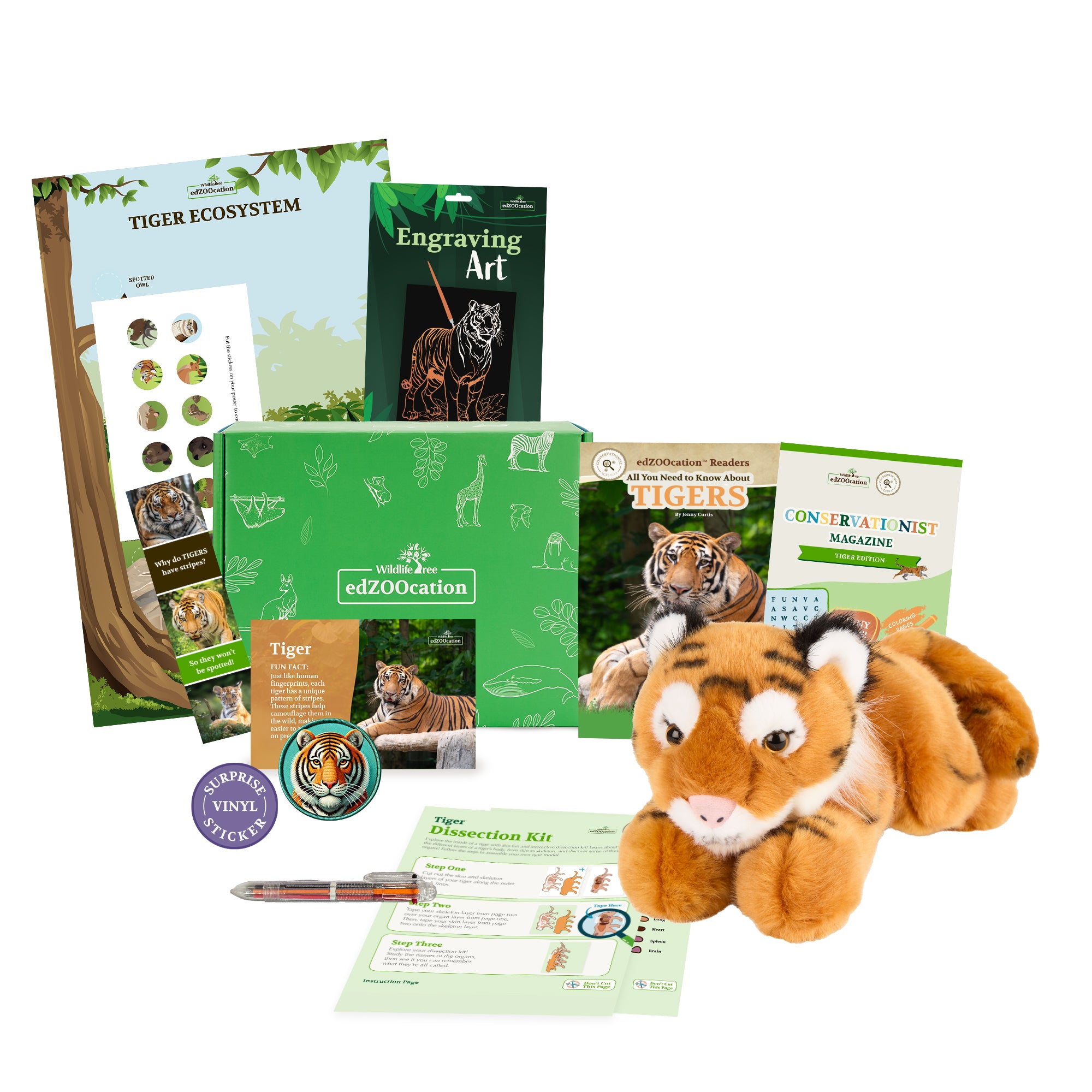 Tiger Conservationist Box (Age 9-12)
