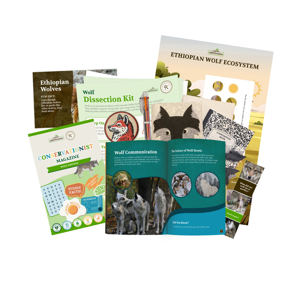 Wolf Conservationist Box (Age 9-12)