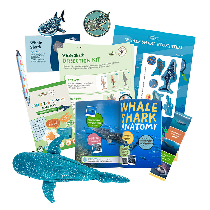 edZOOcation™ Conservationist Box (Age 9-12) - 12 Months (One Time Purchase, Non-Renewing)