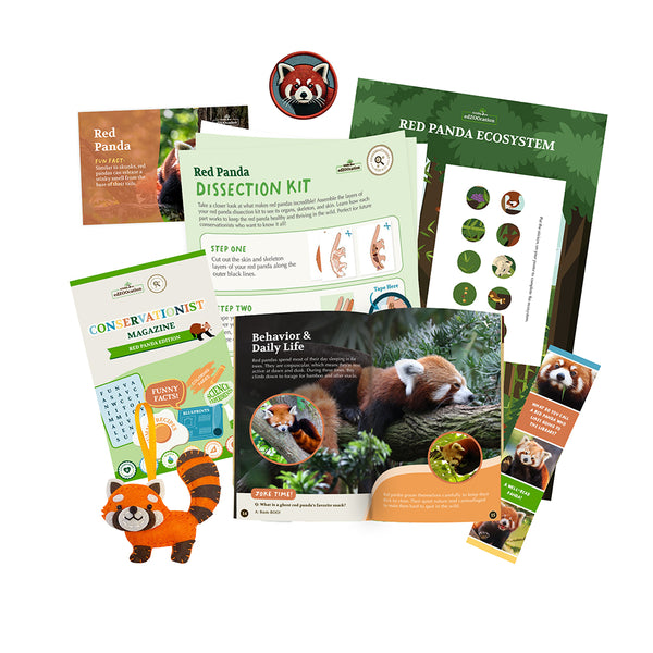 edZOOcation™ Conservationist Box (Age 9-12) - 3 Months