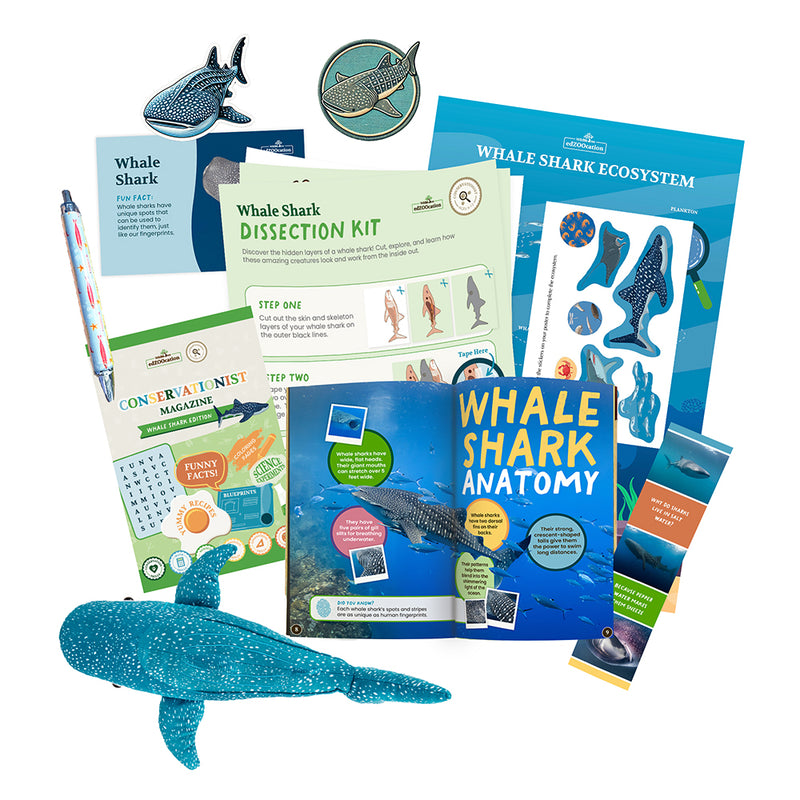 Whale Shark Stuffed Animal edZOOcation Conservationist Box (Age 9-12)