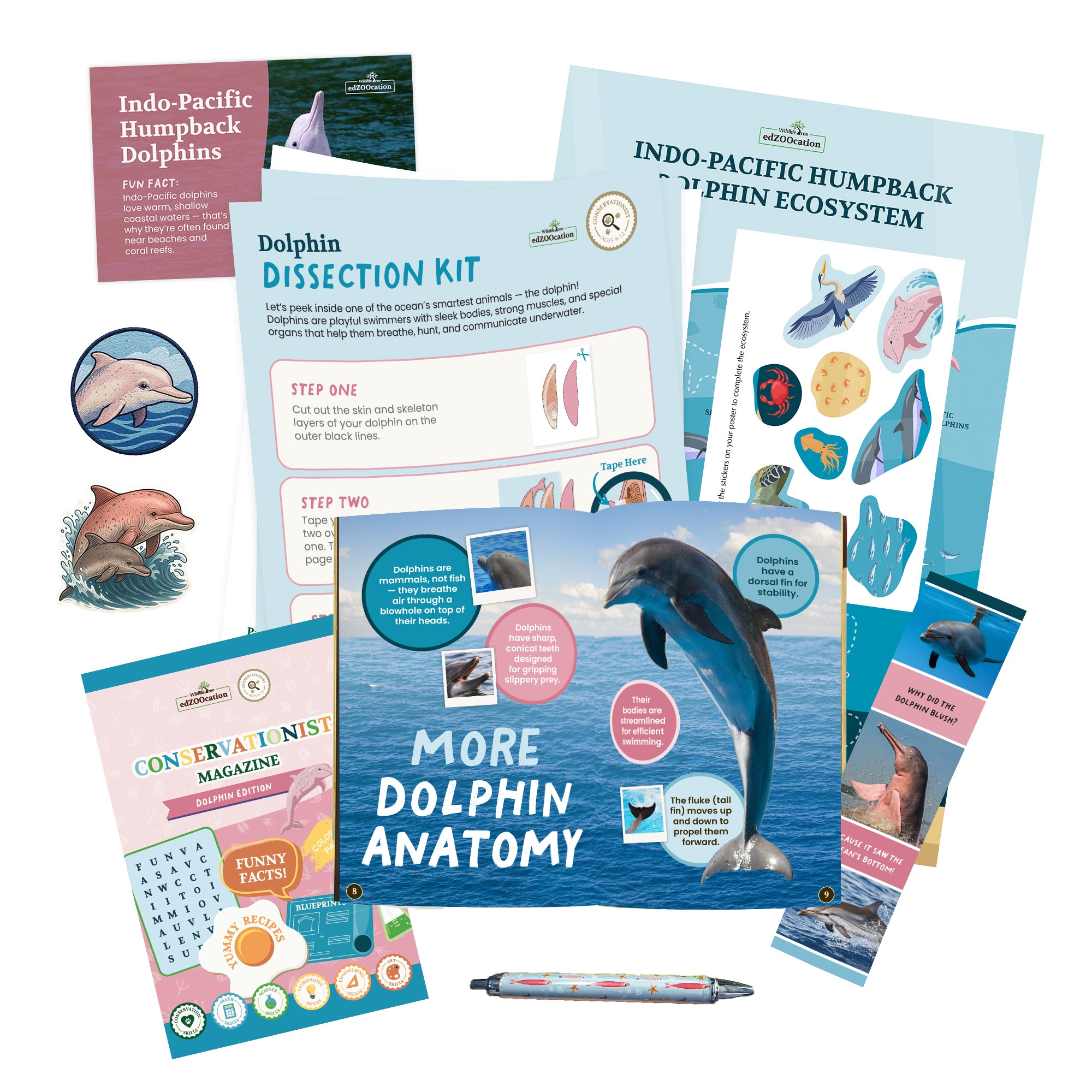 Dolphin Conservationist Box (Age 9-12)