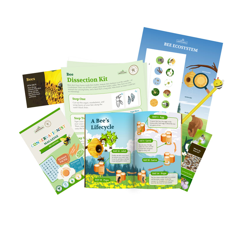 edZOOcation™ Conservationist Box (Age 9-12) - Monthly Box