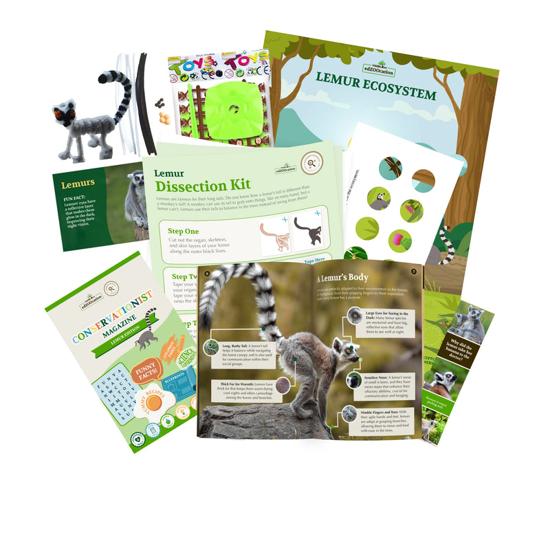 Lemur Stuffed Animal edZOOcation Conservationist Box (Age 9-12)