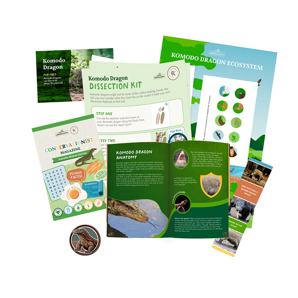 Komodo Dragon Conservationist Box (Age 9-12)