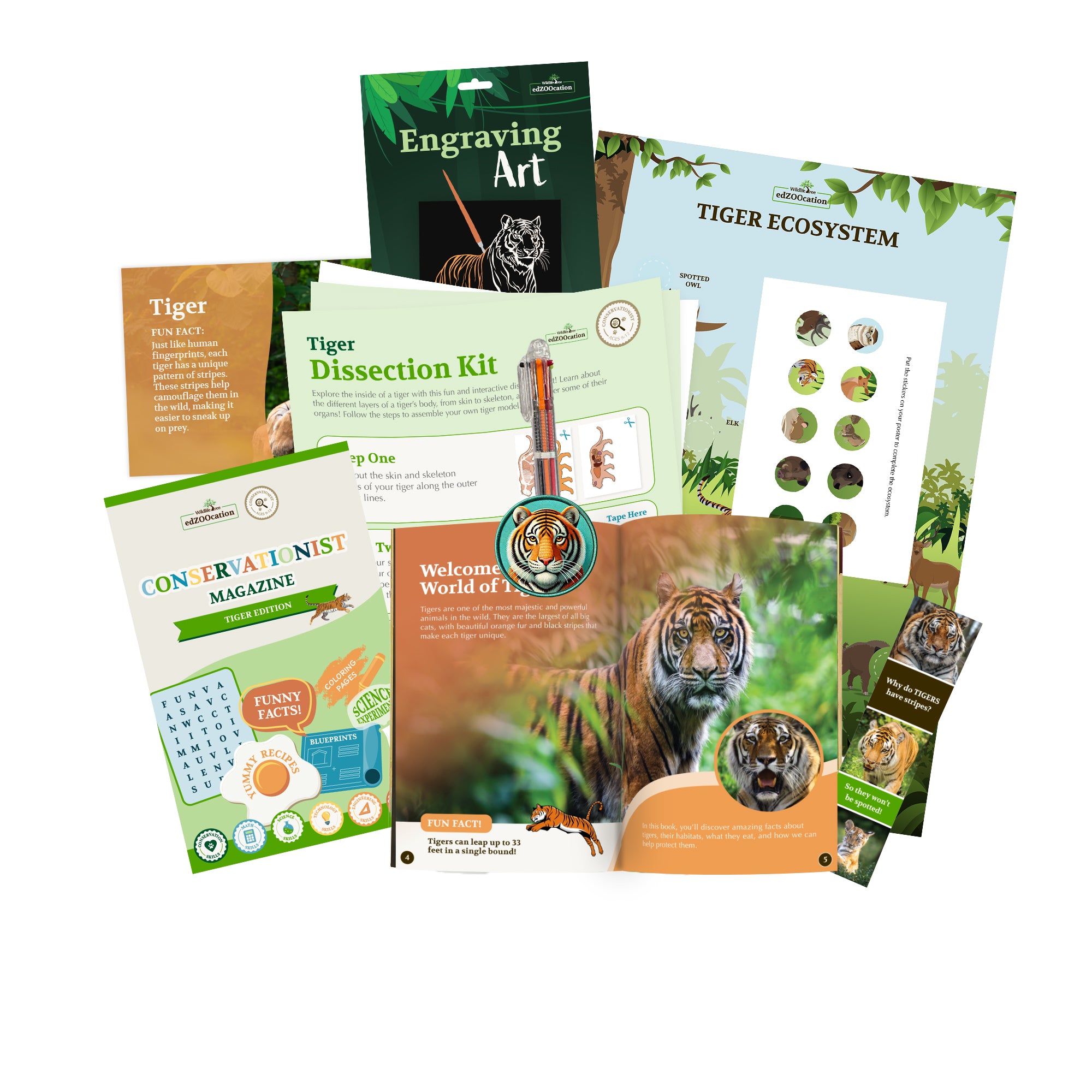 Tiger Conservationist Box (Age 9-12)