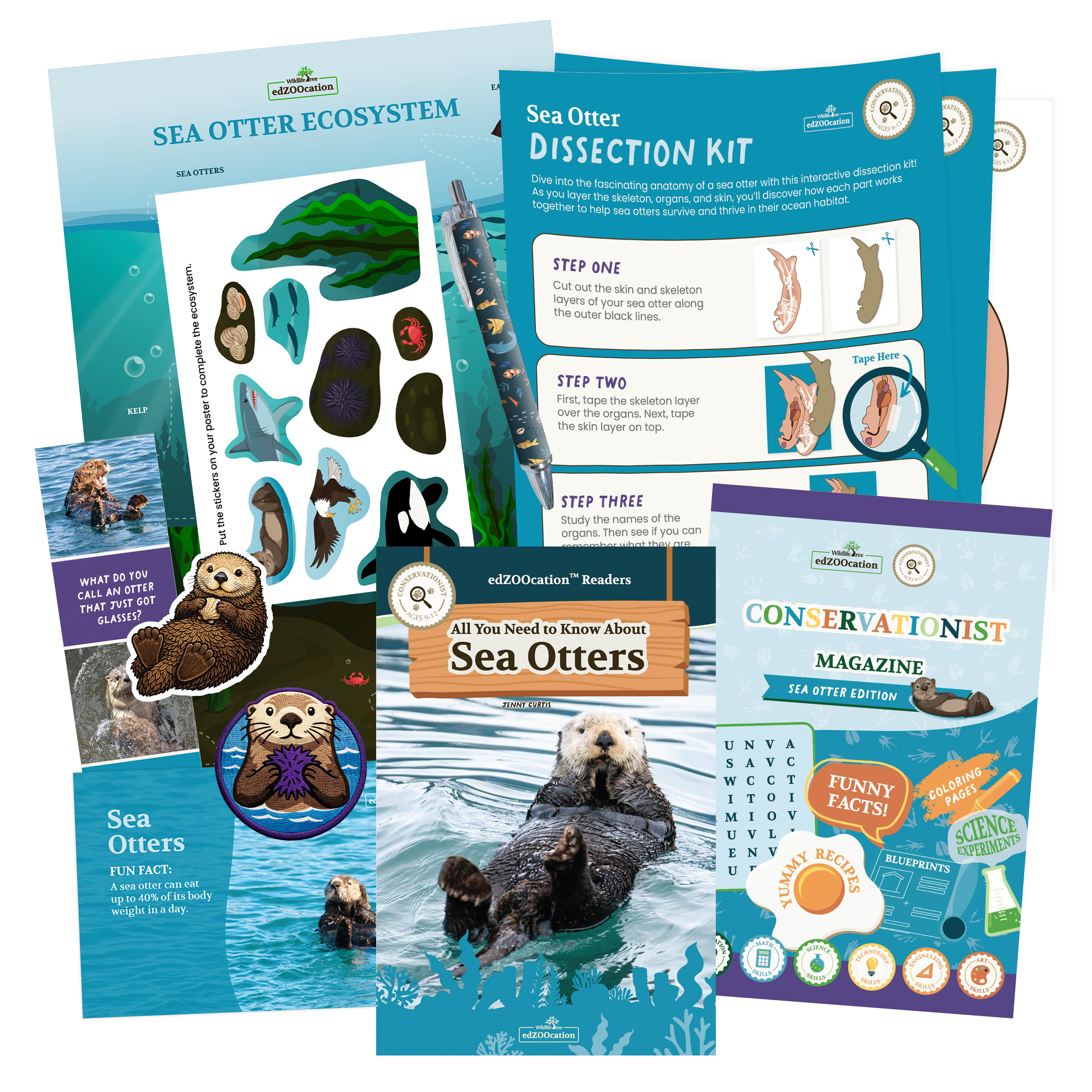 Collection of educational materials about sea otters including a dissection kit and magazine.