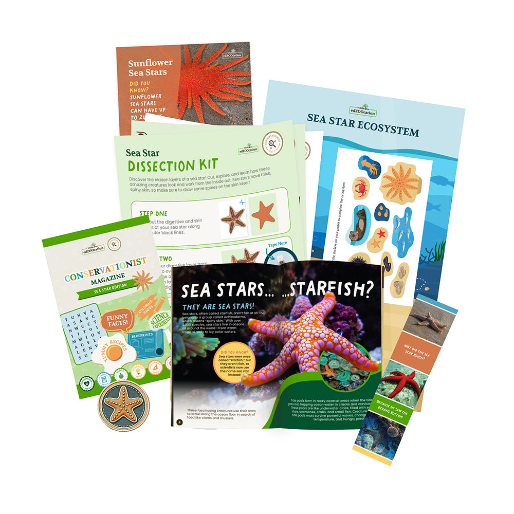 Sea Star Conservationist Box (Age 9-12)