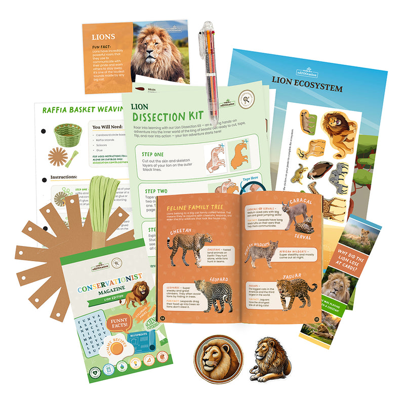 Lion Stuffed Animal edZOOcation Conservationist Box (Age 9-12)