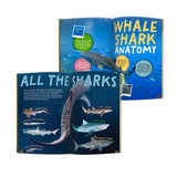 edZOOcation™ Conservationist Box (Age 9-12) - 12 Months (One Time Purchase, Non-Renewing)
