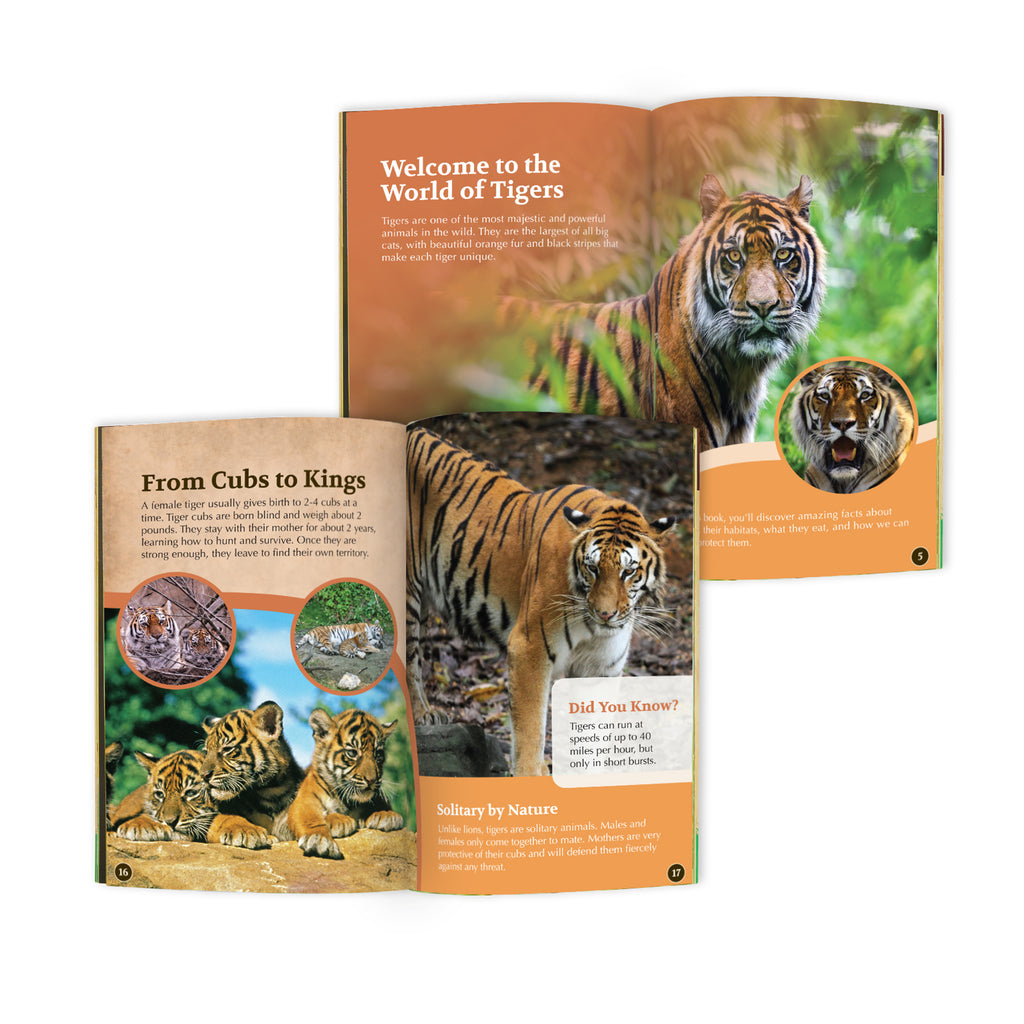 Tiger Conservationist Box (Age 9-12)
