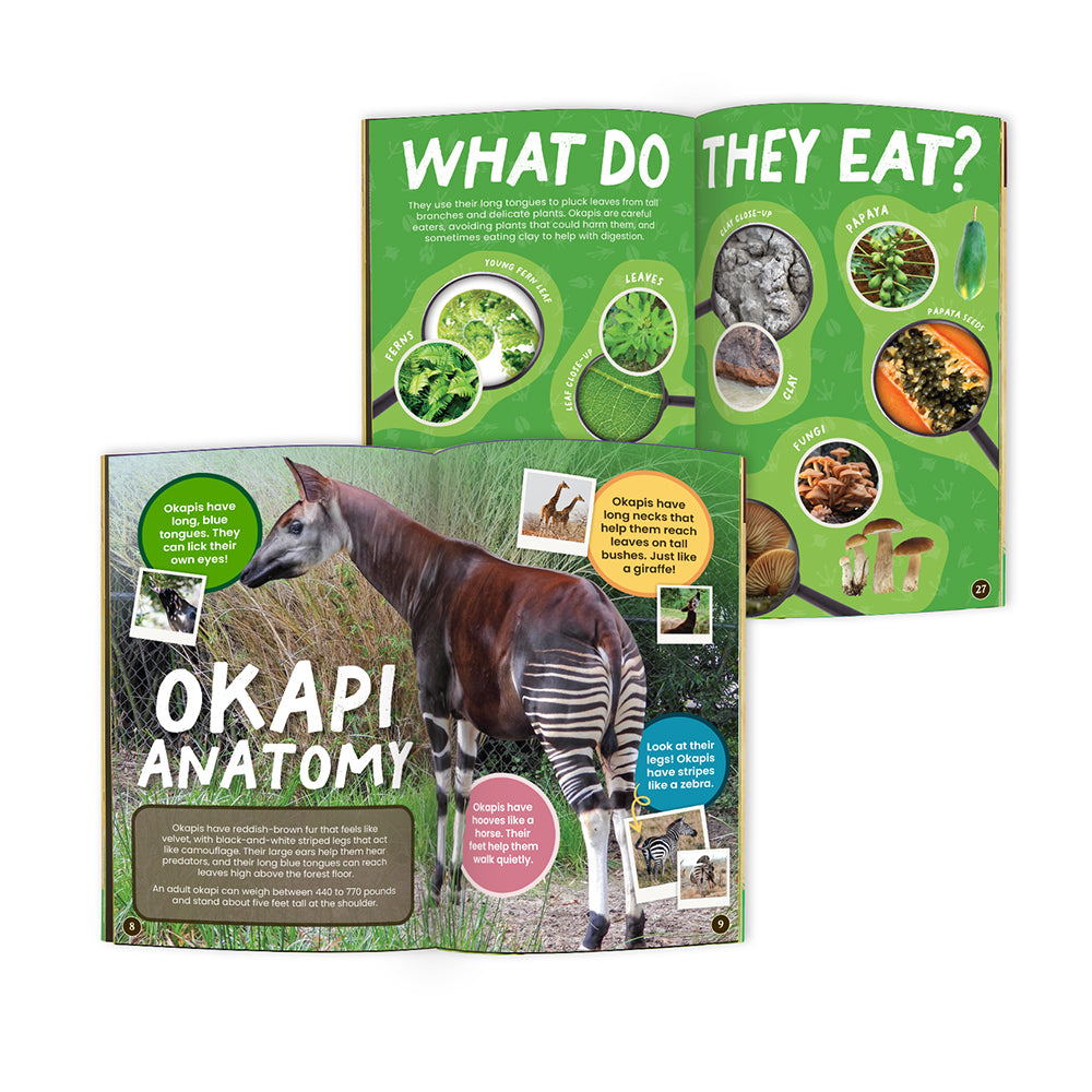 edZOOcation Animal Education Monthly Subscription Box by Wildlife Tree