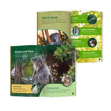 Koala Stuffed Animal edZOOcation Conservationist Box (Age 9-12)