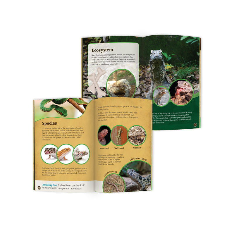 Komodo Dragon Stuffed Animal edZOOcation™ Conservationist Box (Age 9-12)